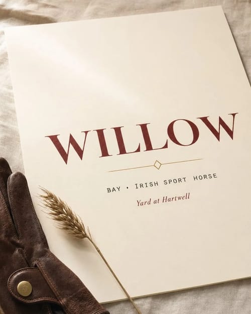A personalised horse name print in editorial typography
