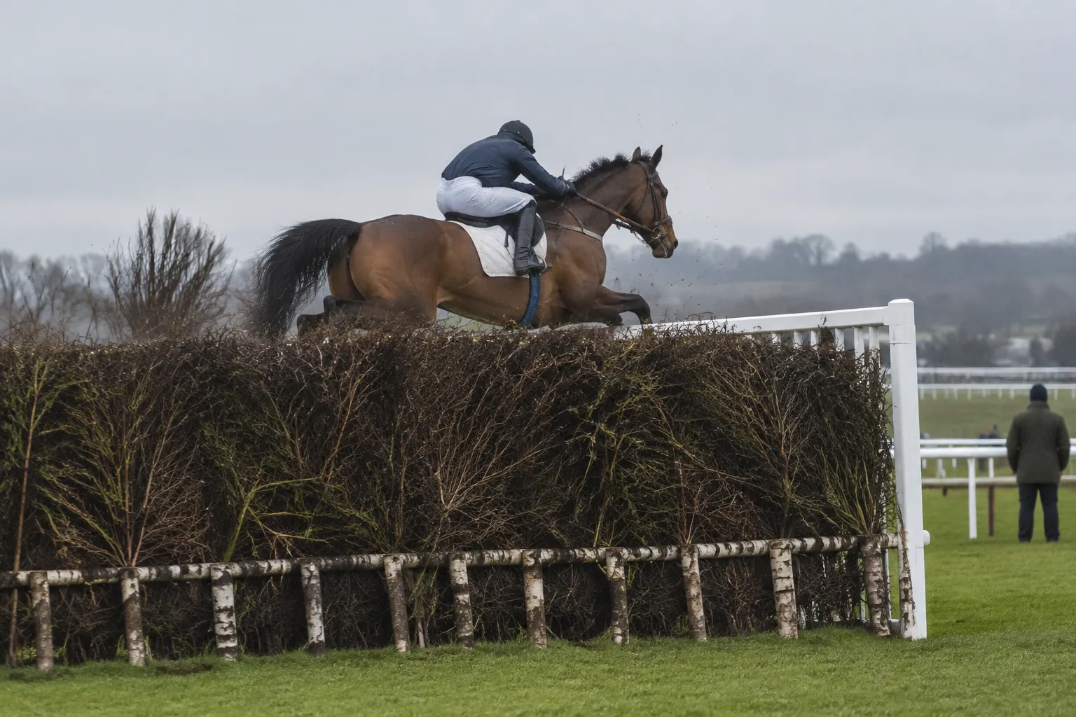 A racehorse clearing a tall birch steeplechase fence on a winter racecourse, seen side-on from a distance.