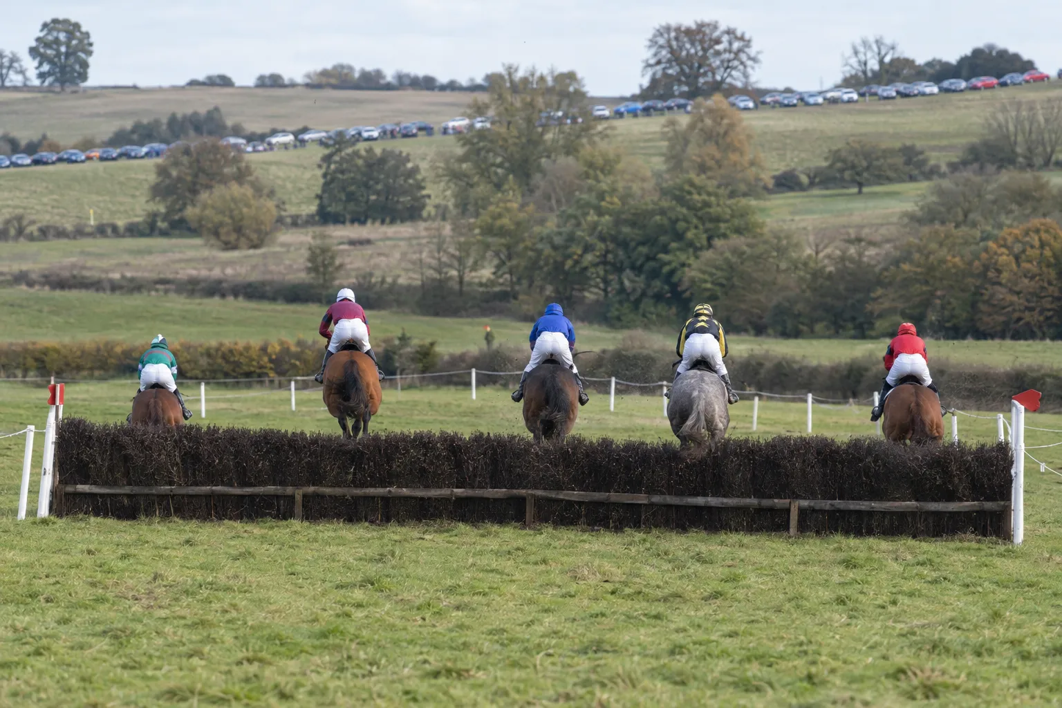 Point-to-point runners jumping a brush fence on a course across farmland, cars parked along a hill behind.