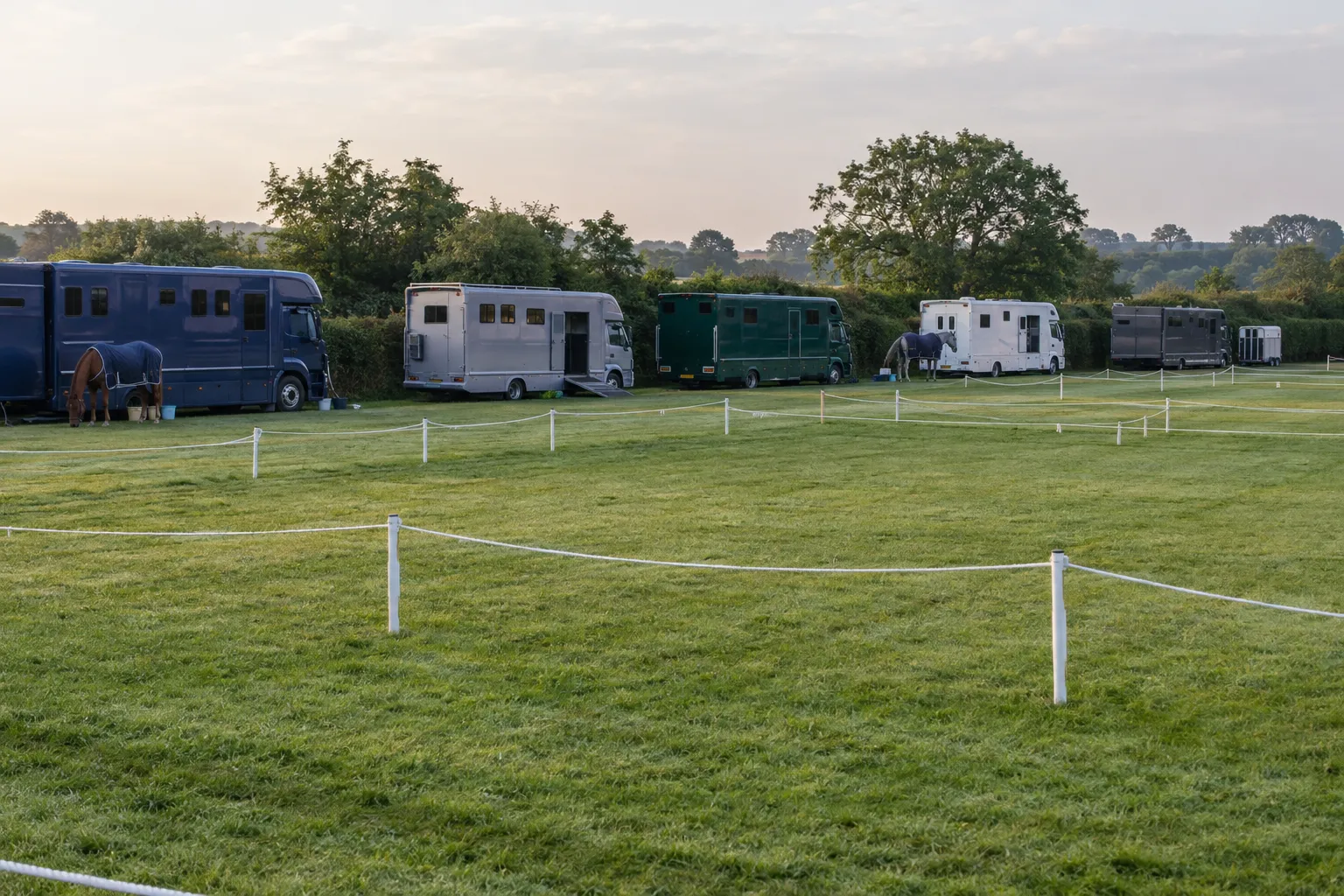 A summer show ground with roped rings and horseboxes parked along the hedge.
