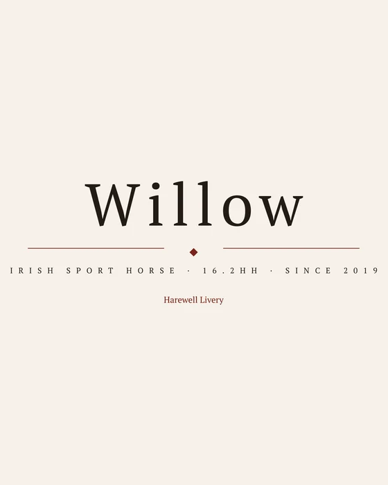 A name print on cream paper: Willow in large serif type, a short rule with a red diamond, then Irish Sport Horse, 16.2hh and since 2019, and Harewell Livery in red.