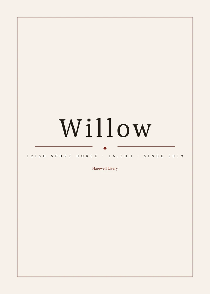 Example print file for a horse called Willow: Irish Sport Horse, 16.2hh, since 2019, Harewell Livery, set in PT Serif.