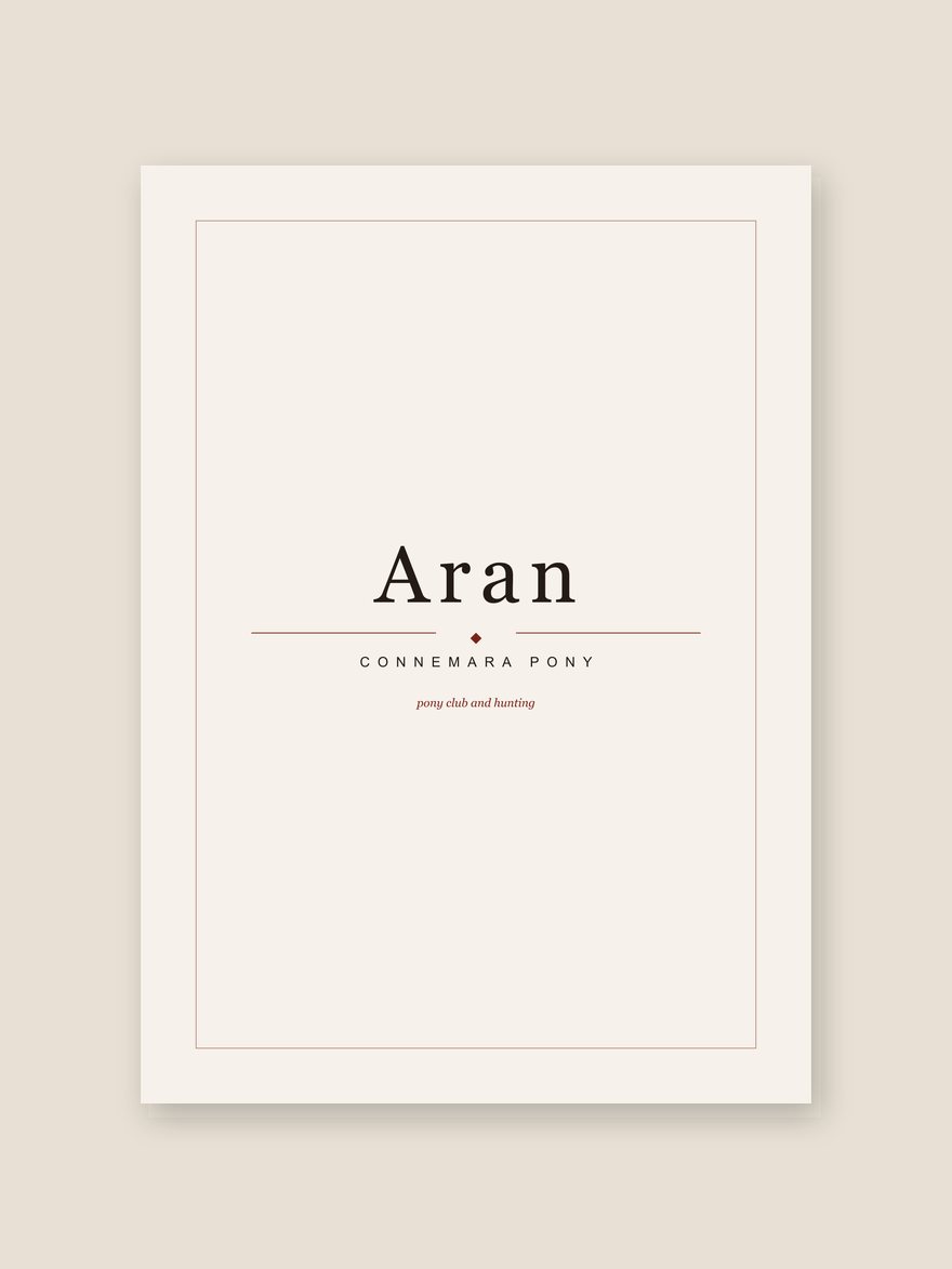 A horse name print reading Aran, with Connemara Pony set beneath it in editorial type.