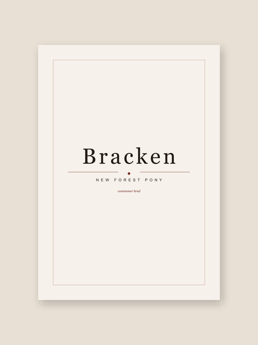 A horse name print reading Bracken, with New Forest Pony set beneath it in editorial type.
