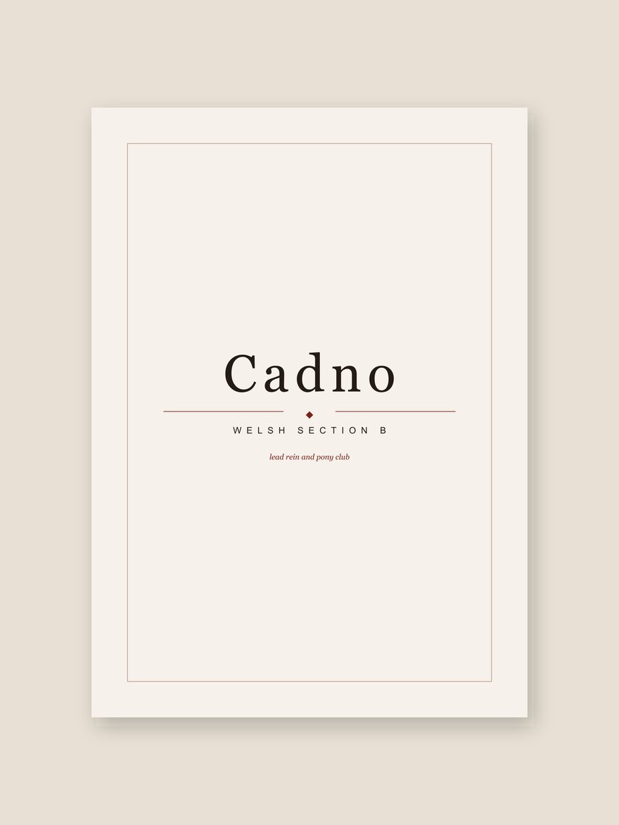 A horse name print reading Cadno, with Welsh Section B set beneath it in editorial type.