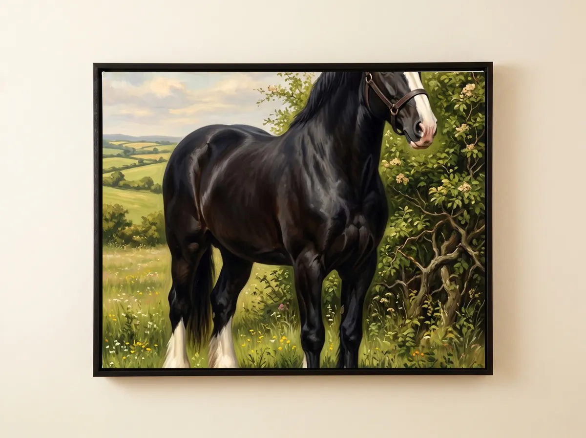 The Shire Horse on a black framed canvas: a black Shire with a white blaze and white feathered legs in a summer meadow.